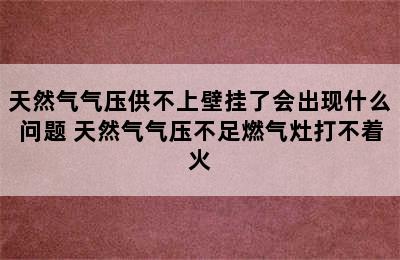 天然气气压供不上壁挂了会出现什么问题 天然气气压不足燃气灶打不着火